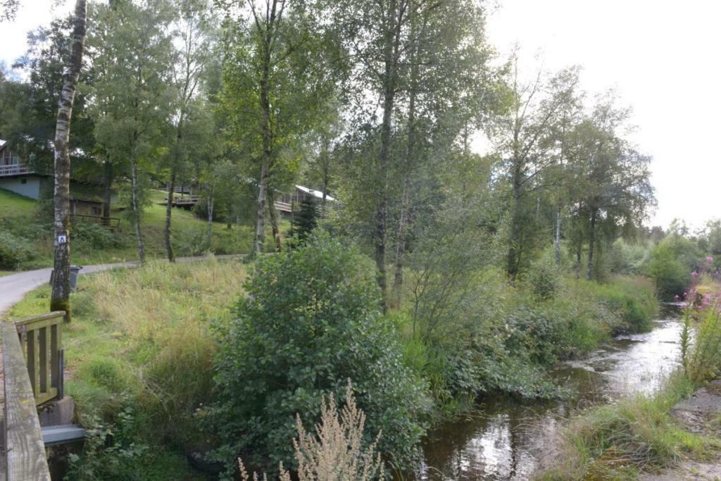 Chalet "A L Oree Du Bois" Bullange Kültér fotó