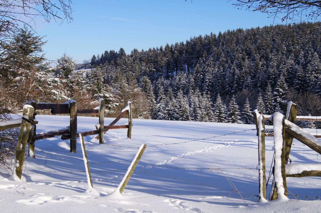 Chalet "A L Oree Du Bois" Bullange Kültér fotó
